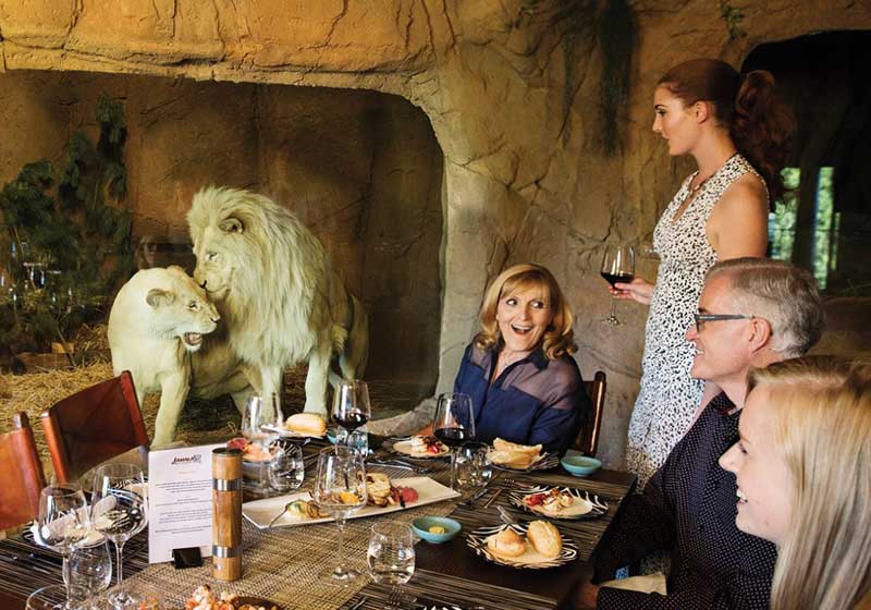 Savour the Flavours of Africa