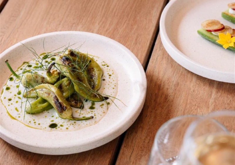 Savouring Sunshine: Perfect Plates for Long Lunches and Laidback Feasts