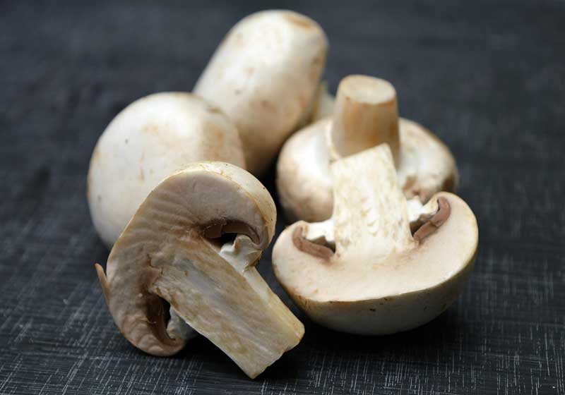 Fresh and In Season: Mushrooms + 3 Recipes