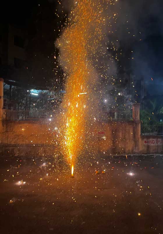 Diwali: A Journey of Light, Love and Belonging