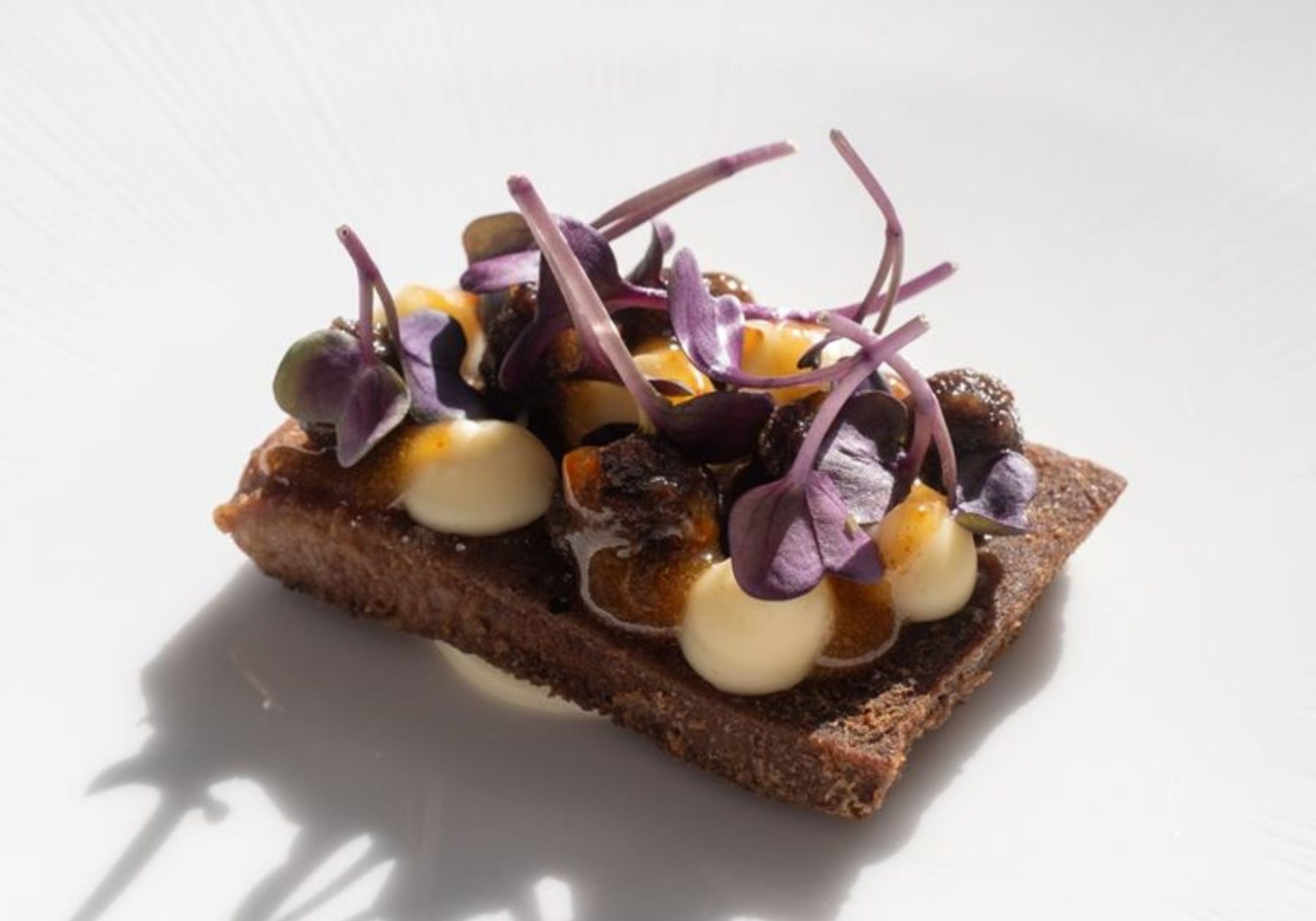 Elevate Your Dining in the Mountains: A Gastronomic Getaway