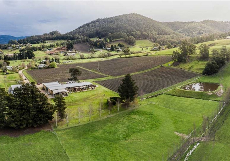 Taste Tasmania: Five Must-Visit Dining Destinations