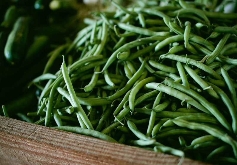 Fresh and In Season: Green Beans + 3 Recipes