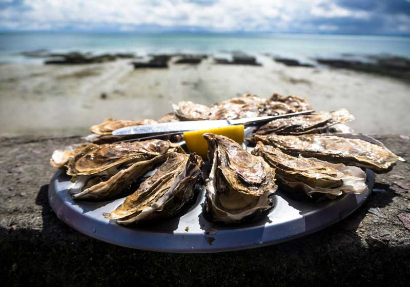 Shucking Trends: The Return of the Oyster as a Social Status Symbol