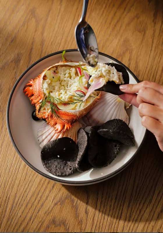Tropical Coastal Dining: Discover Australia’s Most Stunning Seaside Restaurants