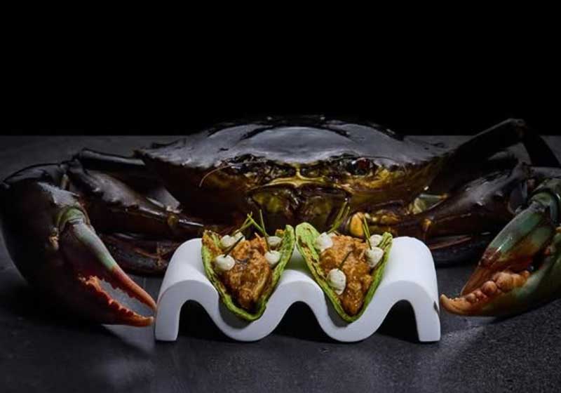 Chef Nelly Robinson: From Lancashire Roots to Sydney’s Nel – A Culinary Story of Passion and Playfulness