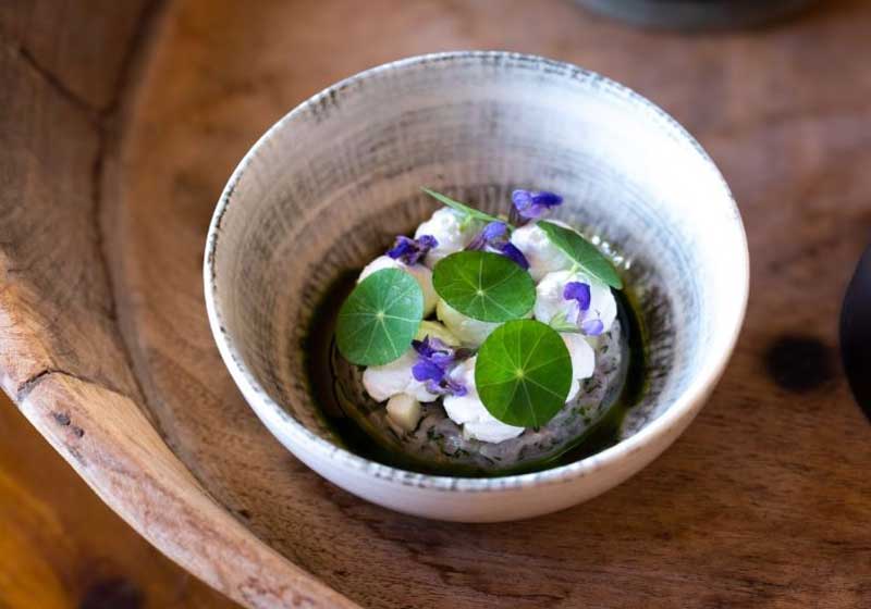 Chef Will Houia: From New Zealand Roots to the Heart of Bowen Mountain