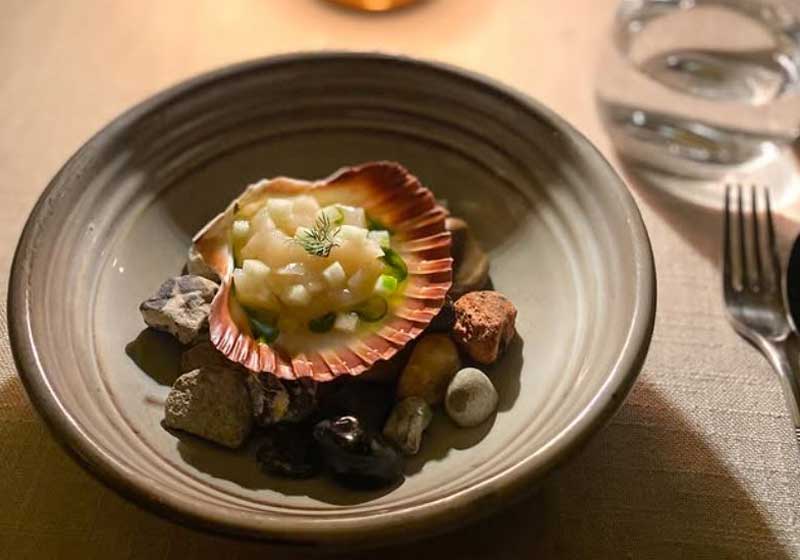 Chef Will Houia: From New Zealand Roots to the Heart of Bowen Mountain