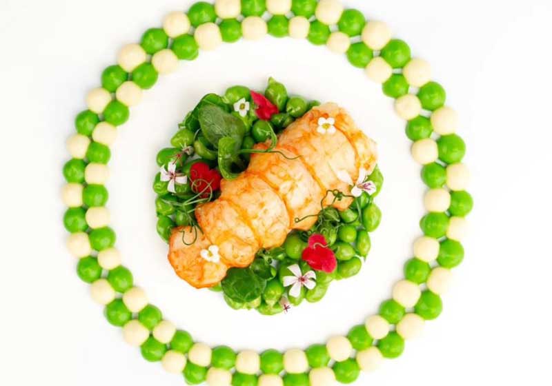 Chef Alan Stuart: From New Zealand Beginnings to Sydney’s Oncore Pinnacle