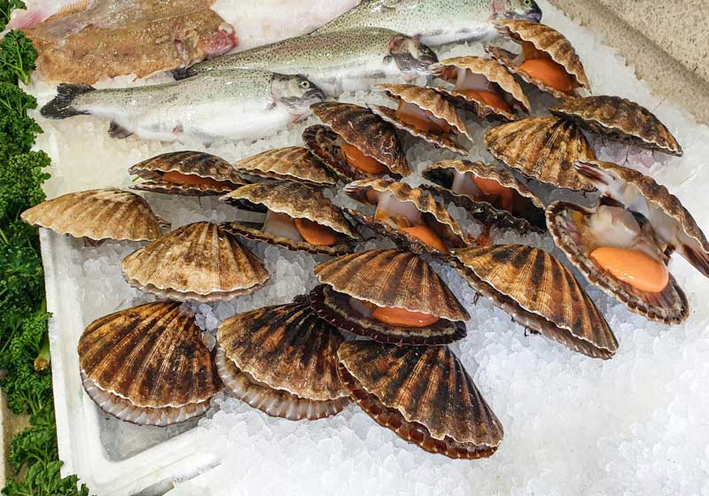 Shells of Change: The Quiet Sustainability of Pacific Island Shellfish