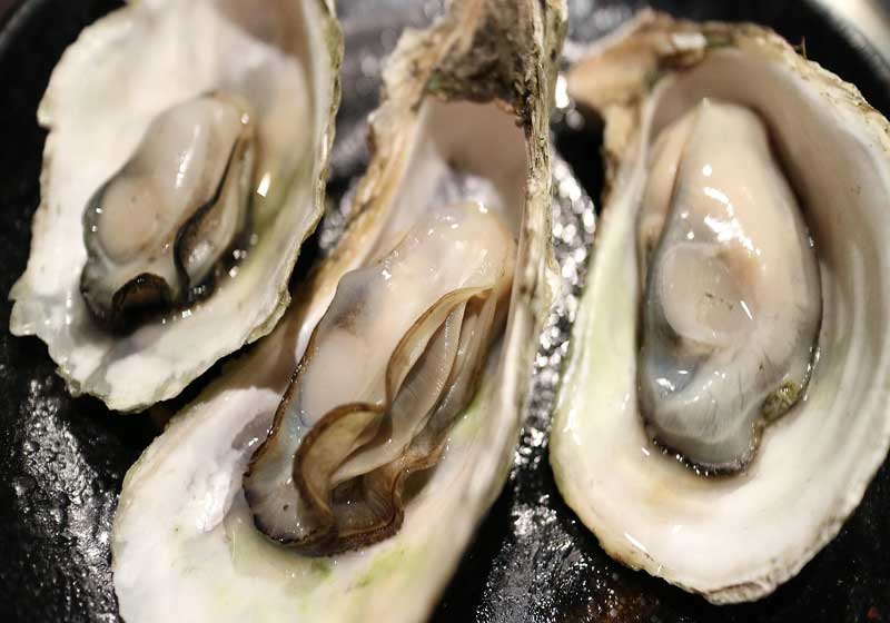 Shells of Change: The Quiet Sustainability of Pacific Island Shellfish