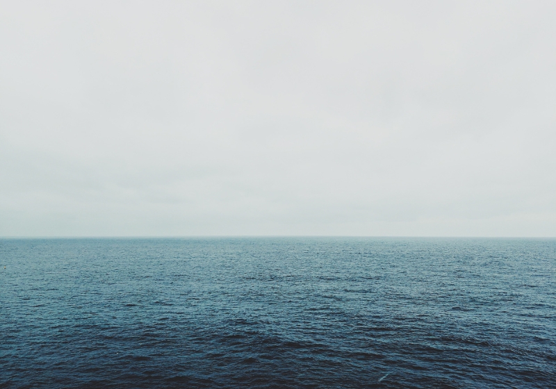 Climate, Currents & Cuisine: How Coastal Chefs Are Cooking With the Sea’s Changing Rhythms