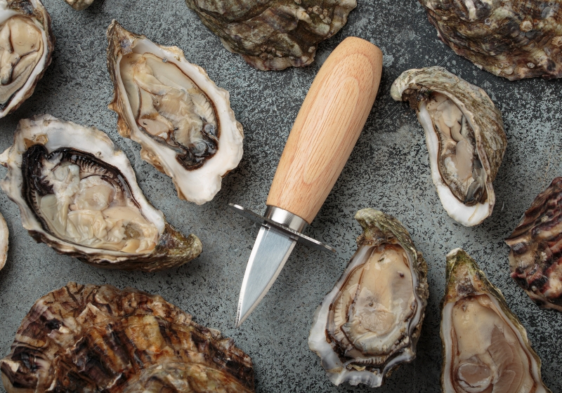 Blade to Bone: The Fish Knife Buyer’s Guide for Home Chefs Who Know Better