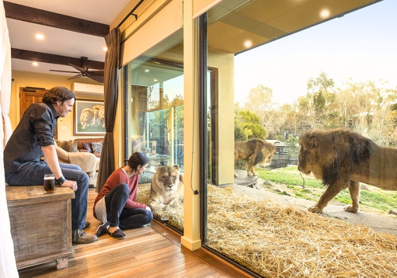 Where The Wild Things Are - And You Can Sleep Beside Them