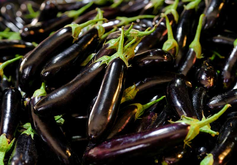 Fresh and In Season: How to Choose, Store & Cook Eggplant + 3 Delicious Recipes