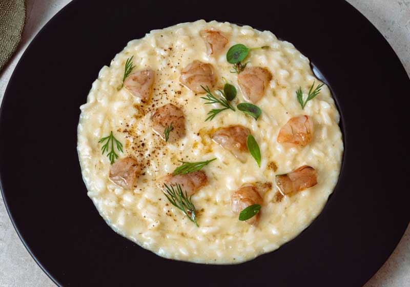 Look What’s New: The Vine Room, Cairns