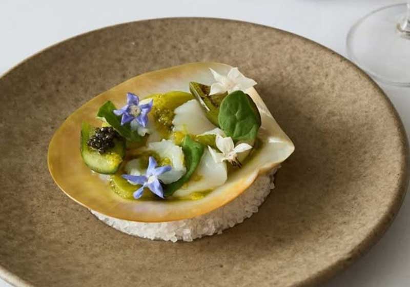 Mount Lofty Estate: A Beacon of South Australian Luxury and Excellence