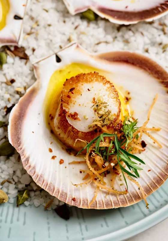 Catalina: Where Water Meets Whispers of Elegance