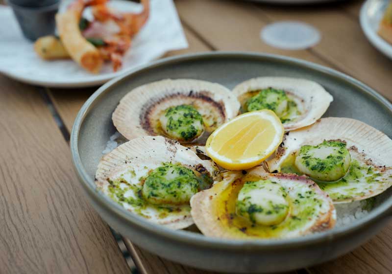 Grand View Hotel Reopens: Queensland’s Oldest Pub Enters a Stunning New Era of Bayside Dining and Heritage Charm