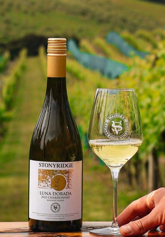 Destination Dining in New Zealand: Where Nature Meets the Plate