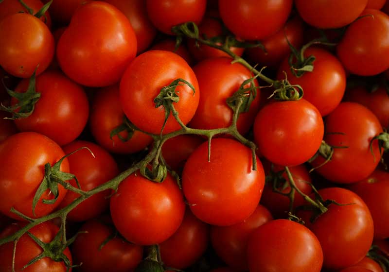 Fresh and In Season: Tomatoes + 3 Recipes