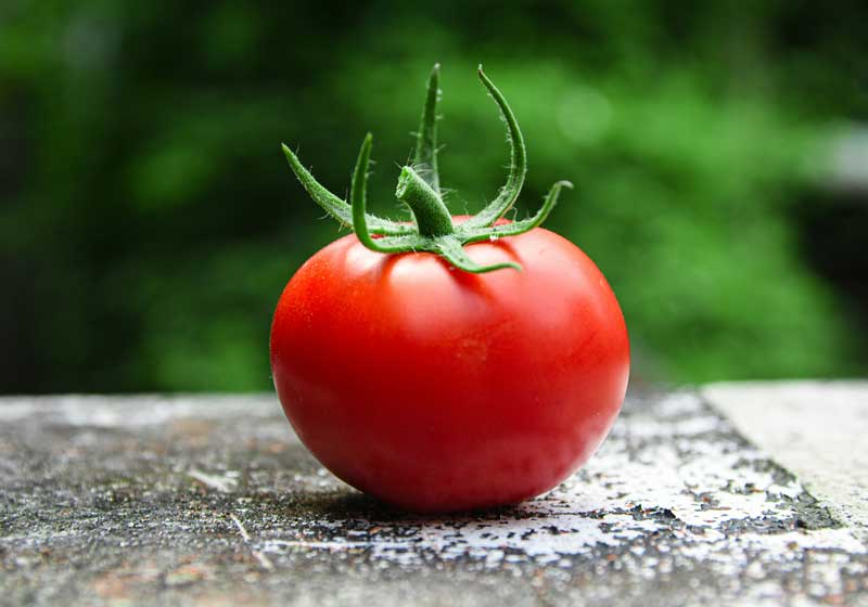 Fresh and In Season: Tomatoes + 3 Recipes