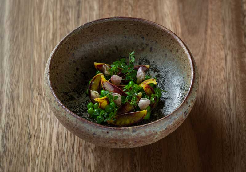 5 Nostalgic Recipes from Australia’s Top Chefs: Heartfelt Dishes That Tell a Story