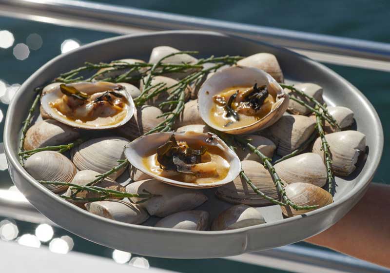 Sea Raes Returns: A Floating Ode to Summer on Sydney Harbour