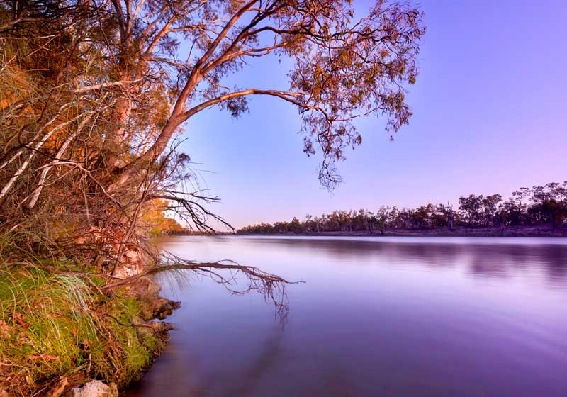 Future Vintage: How Oxford Landing Is Pioneering a Greener Era of Winemaking