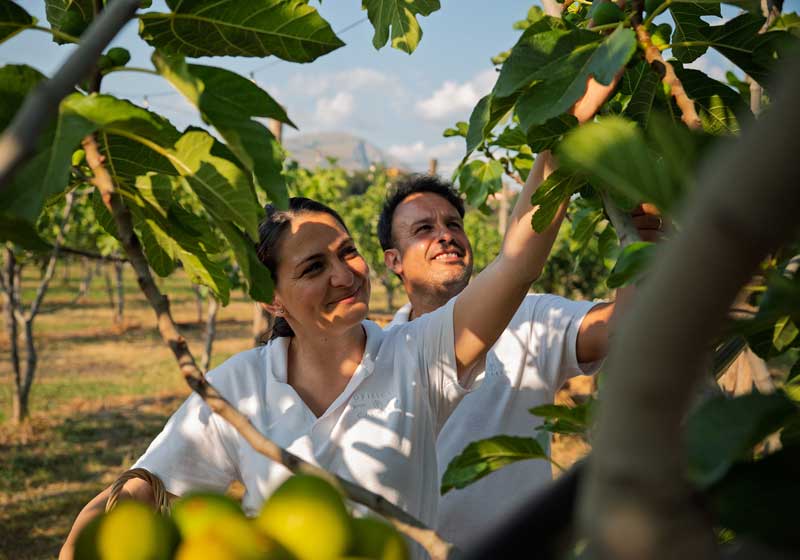 Discover Opificio Calabria: A Hidden Gem Preserving Cedro Traditions in Santa Maria del Cedro