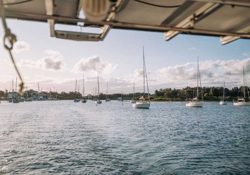 Australia’s Best Coastal Restaurants: Dine by the Sea from Louth Island to the Whitsundays