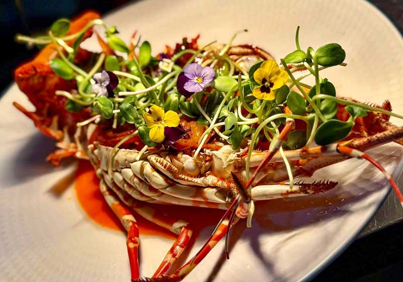 Australia’s Best Fusion Dining Destinations: Modern Flavours, Coastal Charm and Culinary Creativity