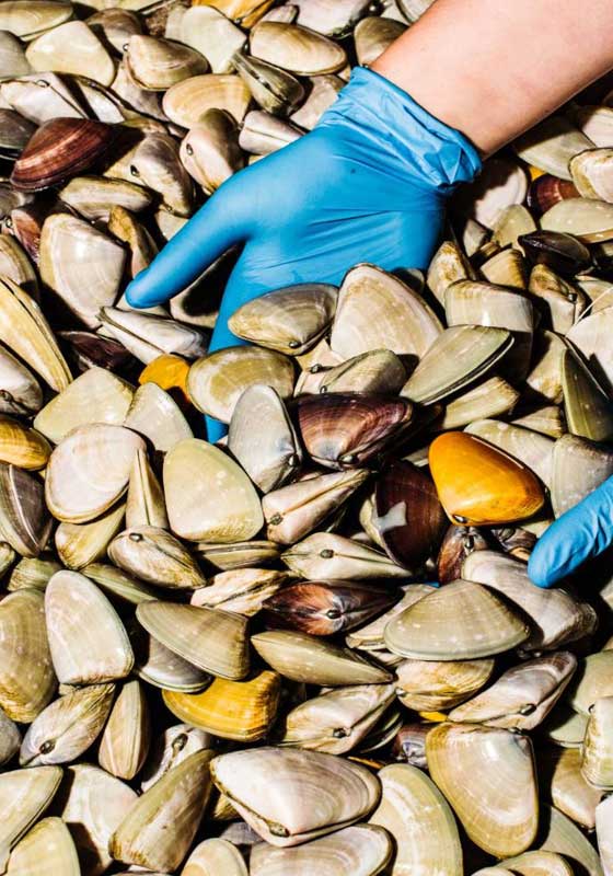 From Tide to Table: The Best Fresh Seafood Markets Around the World