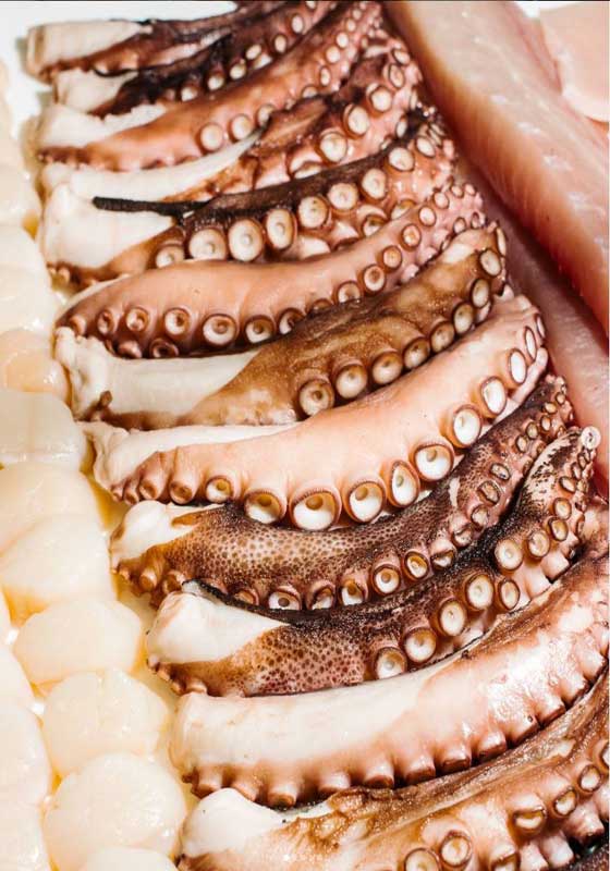 From Tide to Table: The Best Fresh Seafood Markets Around the World