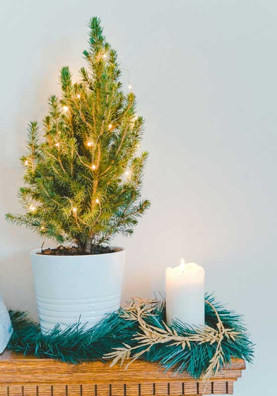 No Tree, No Problem – Inside the New Wave of Minimalist Christmas Decorating That’s Still a Vibe