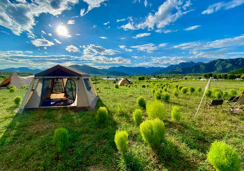 Sunburnt & Unbothered: The Luxe Guide to Christmas on the Road (Without Slumming It)