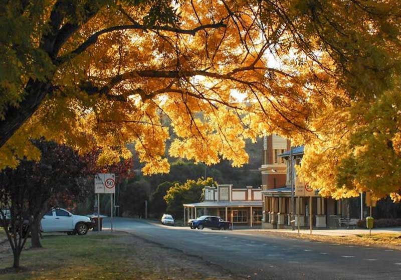 Forgotten Hamlets, Flawless Feasts and the Small Australian Towns That Do Christmas Better Than the Cities