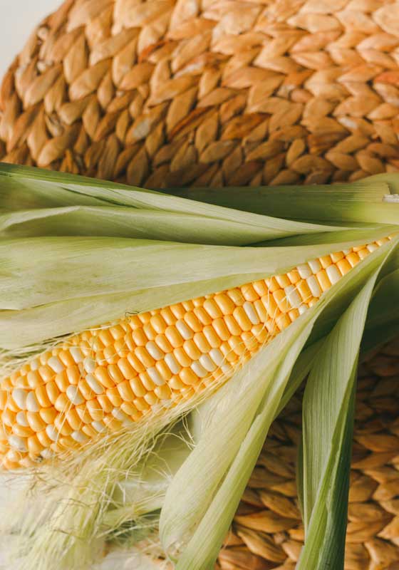 Fresh and In-season Corn: How to Choose, Store and Cook It + 3 Delicious Summer Recipes