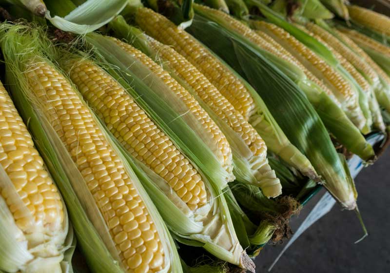 Fresh and In-season Corn: How to Choose, Store and Cook It + 3 Delicious Summer Recipes