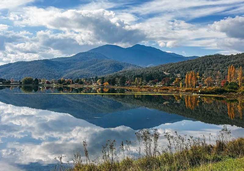 High Country, Slow Feast: Why Christmas in the Mountains Might Be the Next Big Thing