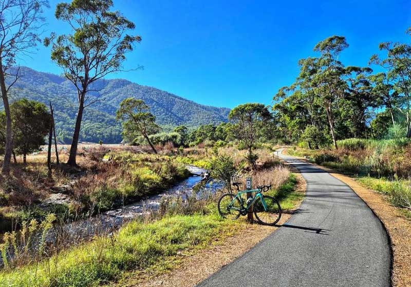 High Country, Slow Feast: Why Christmas in the Mountains Might Be the Next Big Thing