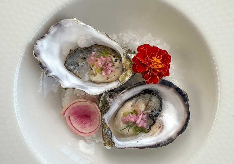 Where to Celebrate Christmas: 5 Top Festive Dining Destinations Across Australia