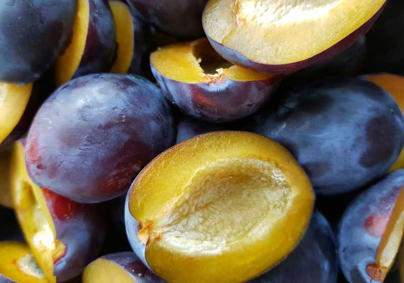 Fresh & In Season: Discover Australia’s Best Plums and How to Cook With Them