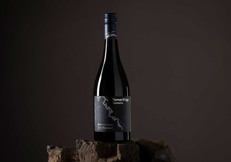 Christmas Entertaining Wines: 7 Bottles to Bring, Gift or Sip All Summer