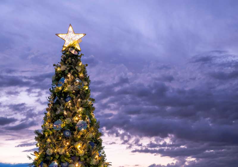Countdown to Xmas: 6 Sydney Christmas Events that Will Get You Feeling Festive Fast!