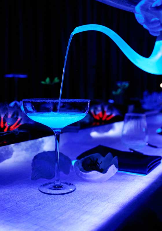 From Plate to Performance: Shelly Is Melbourne’s New Multi-sensory Gem