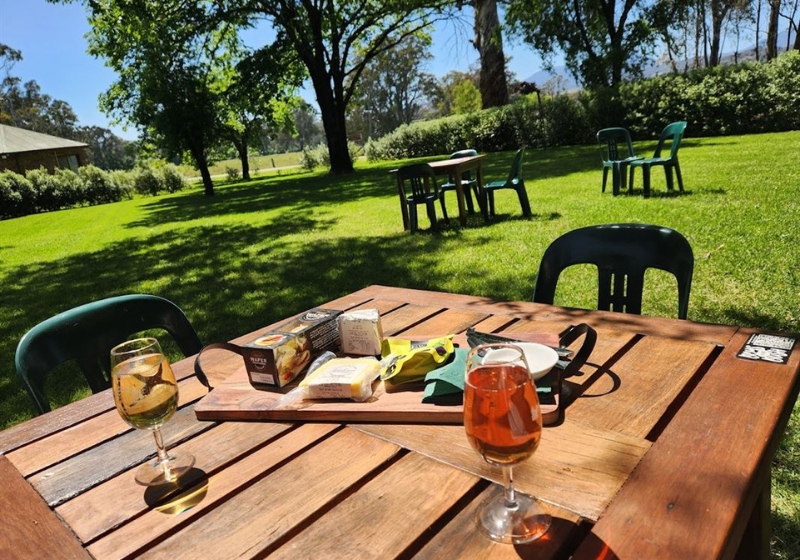 From Vineyard to Table: A Culinary Journey through Iconic Wine Regions