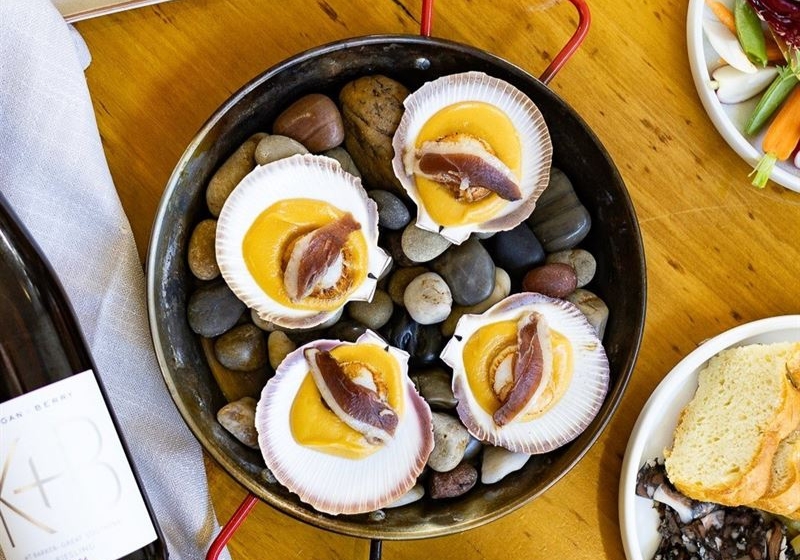 From Vineyard to Table: A Culinary Journey through Iconic Wine Regions