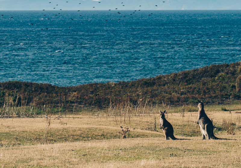 Kid-friendly Holidays in Australia: Top Family Getaways & Easy Travel Tips