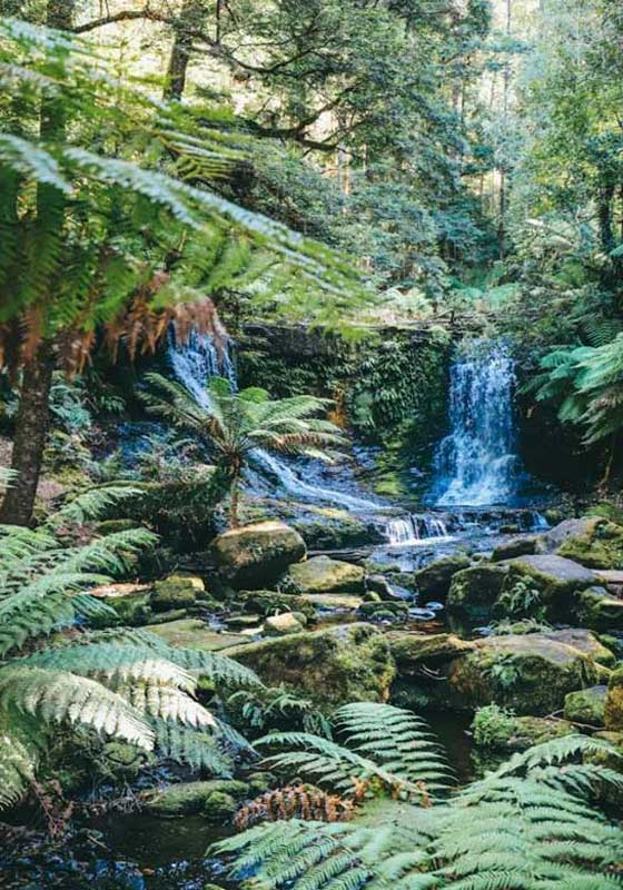 Great Walks in Australia & New Zealand: Coastal Strolls, Rainforest Trails and Alpine Adventures